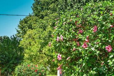 דירות לתיירים Azahar Apartamentos Heliópolis Ii