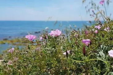 Appartements touristiques Exquisite Calahonda Beach Studio