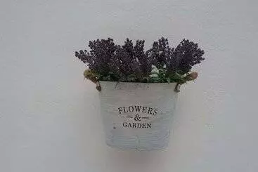 ツーリストアパートメント Orama Ii