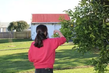 Tourist flats Signature On Gunn