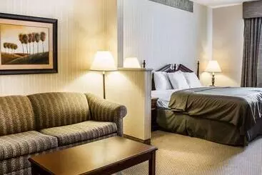 Отель Comfort Suites Mcalester