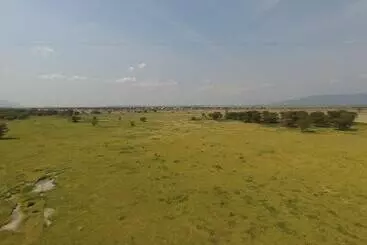 Otel Africa Safari Lake Manyara