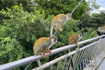 Апарт-отель Rios Plaza & Suites