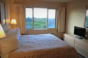 The Polynesian Resort