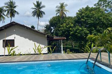 Bed and Breakfast Serendipity