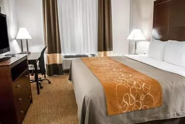 Hotel Comfort Suites North Albuquerque Balloon Fiesta Park