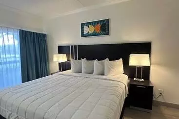 هتل Oasis Bay Suites, Tampa, Busch Gardens, Usf