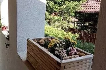 ツーリストアパートメント Pensiunea Poiana Cristian