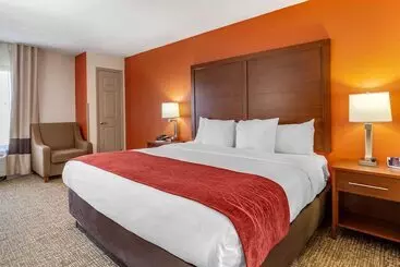 酒店 Comfort Inn Greensboro  Kernersville