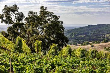 Lägenhetshotell La Foresteria Di Rocca Di Frassinello