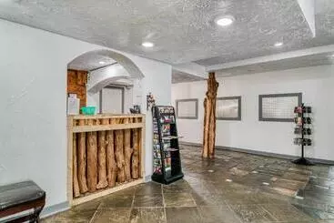 OYO Hotel Houston, TX near Medical Center/NRG Stadium