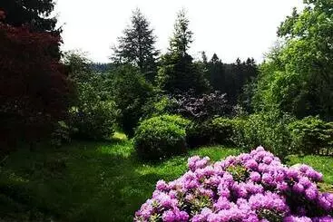 Hotelli Green Corner Nürburg