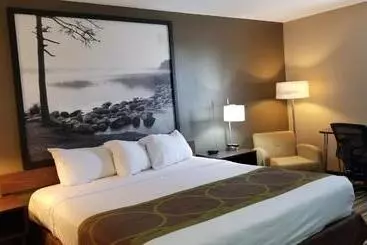 Motel Super 8 By Wyndham St. Cloud