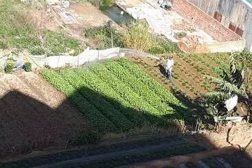 Majatalo Mrlee Dalathouse