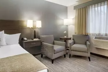 فندق Best Western Plus City Center