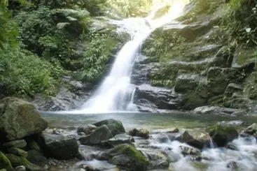 ペンション Villa Garden   Suites