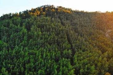 Bucak Apart Hotel Göcek & Beach