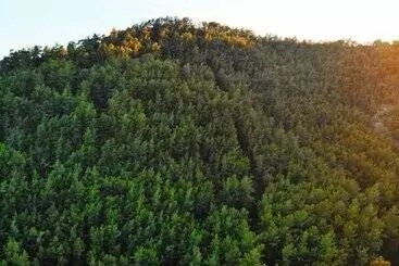 Bucak Apart Hotel Göcek & Beach