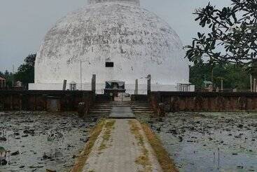 酒店 Wild Eco Safari