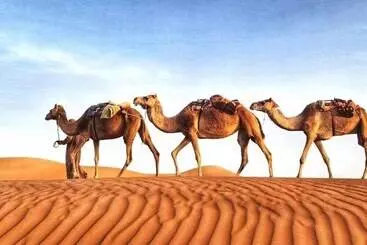 Hotelli Alsarmadi Desert Camp