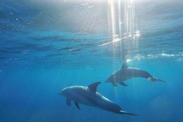 Отель Eden Rock Zanzibar