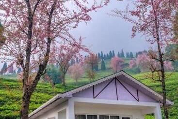 Resort The Temi Bungalow South Sikkim