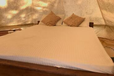 Hotel Salt Bay Kite And Dive Resort