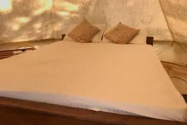 ホテル Salt Bay Kite And Dive Resort