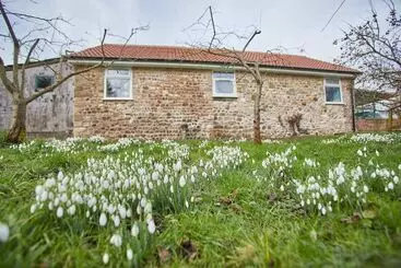 Snowdrop Cottage