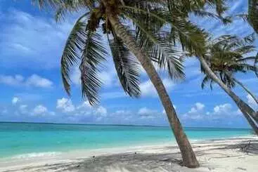 Hotel Viluveli Holiday Retreat