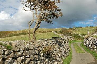 مبيت وإفطار Saint Cadfans Lodge