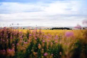 Mökkimajoitus Delny Glamping