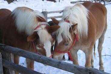 酒店 Jörgleggerhof