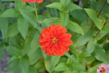 בית מלון כפרי Riviera Ristorante La Briciola