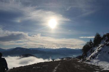 Pension Landhaus Ingrid B&b