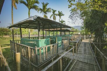 Green Ashiyana Resort