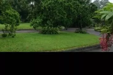 Pensiune The Garden Family Guest House