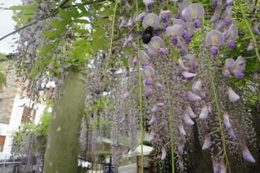 בית מלון כפרי Beau Rivage