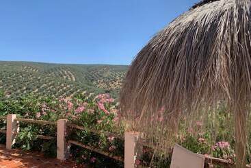 Bed and Breakfast Casa Pura Vida