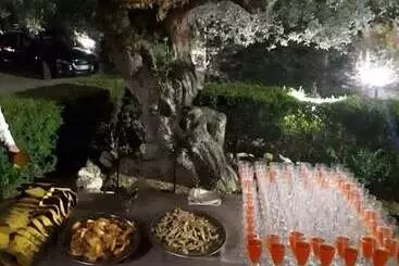 Bed and Breakfast Casale Degli Ulivi