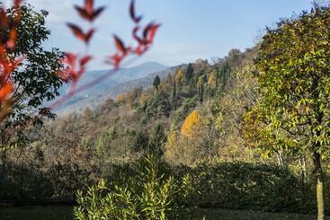 酒店 Borgo Alla Sorgente