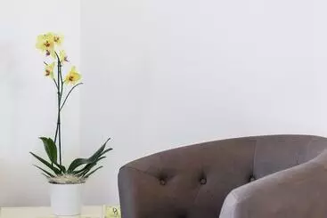 Domus Dams B&b