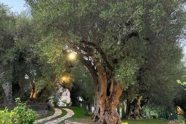 בית מלון כפרי Pie  D Ulivo