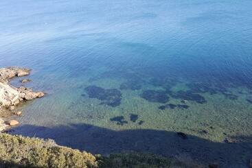 בית מלון כפרי Poggiolivi Agriturismo Bio In Maremma