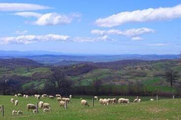 בית מלון כפרי Agriturismo I Lapi