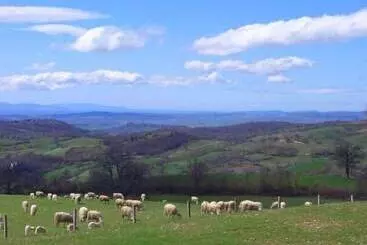 田舎風ホテル Agriturismo I Lapi