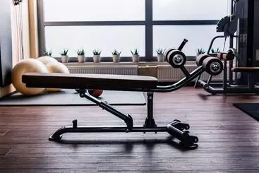 Hotel Holiday Inn Budapest Budaörs, An Ihg