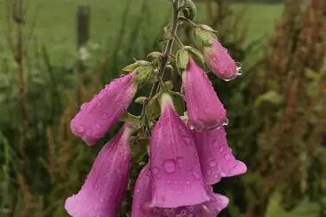 Gîte Rural Hillside Havens