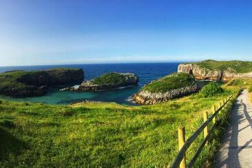 펜션 Pensión El Castañu