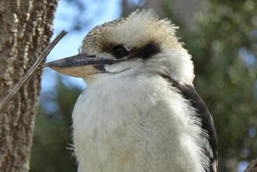 Llarrinda Bed & Breakfast